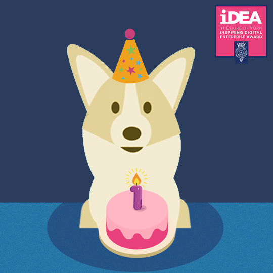 iDEA Corgi iDEA Corgi